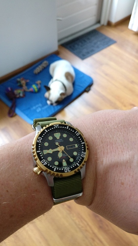 Citizen ny0040 goud