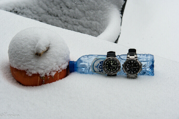 snow divers (9 of 9)