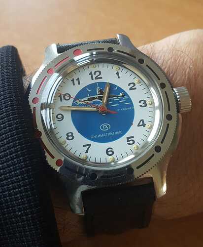 IMG-20201125-WA0012