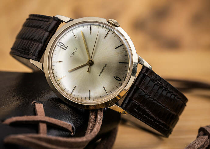 Timex-Old-on-Lizard-Leather