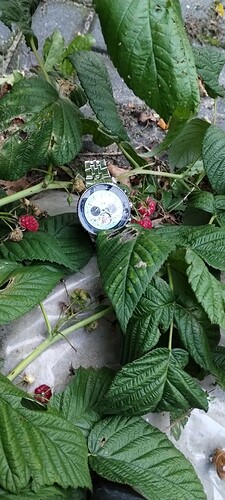 IMG_20230803_210916553