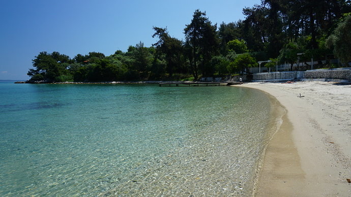 DSC01231