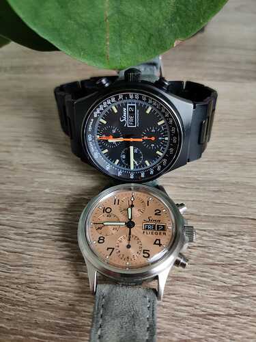 IMG-20211029-WA0010