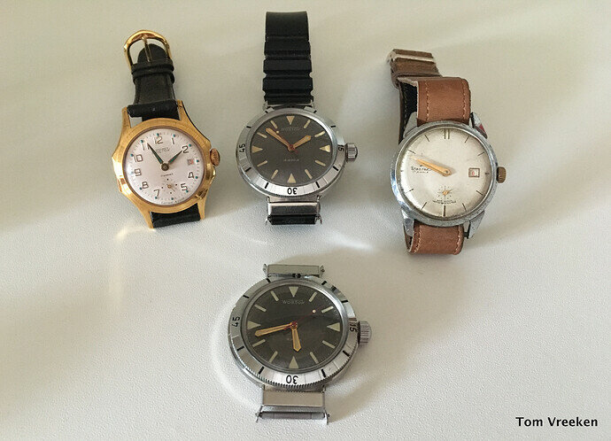 Wostok-family-2