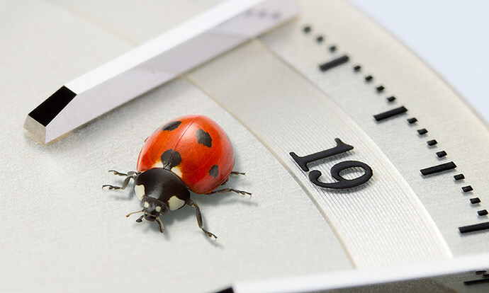 bugseye_03_pc