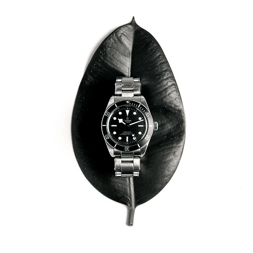 000_20230903_Studio_stilleven-2