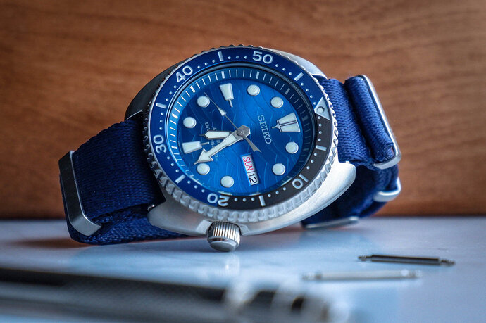 Turtle Blue NATO (1 of 1)