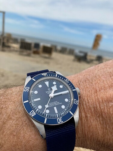 Tudor 4