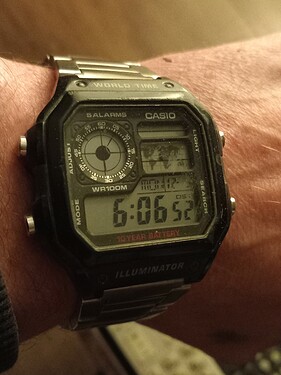 16702167741036697550832783932667