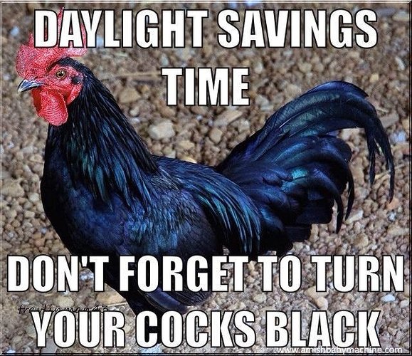 daylights-savings-time-meme