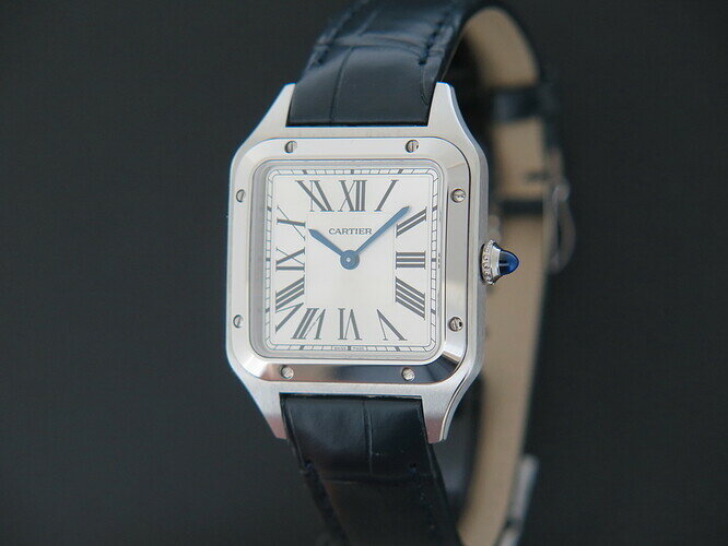 cartier-cartier-santos-dumont-steel-small-new-wssa