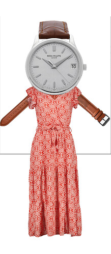 Dresswatch