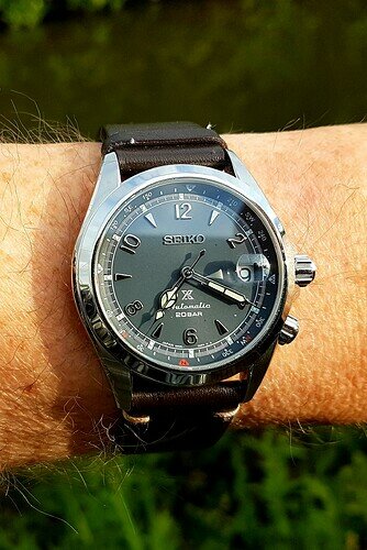 Seiko Alpinist 29-05-22