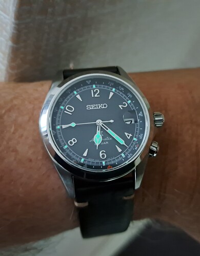 Seiko Alpinist (5) 17-09-2023