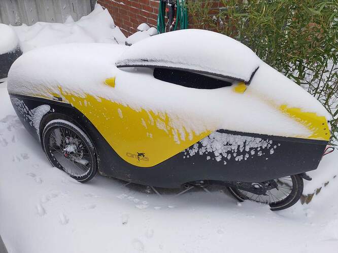 Orca-sneeuw