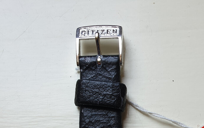 citizen_buckle