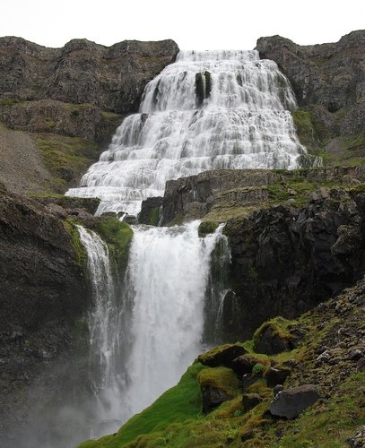 541