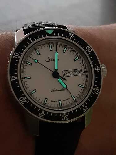 IMG-20210222-WA0005