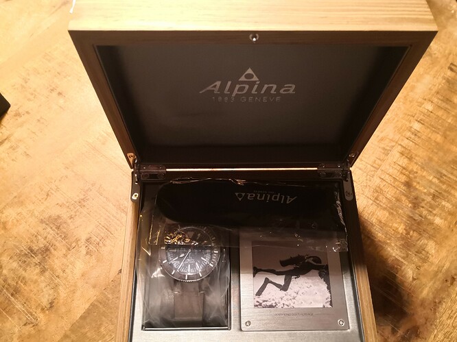 ALPINA SEASTRONG DIVER 300-AL525-44mm-22mm-SNAL-525LGGW4TV6-202008-661EUR-p16