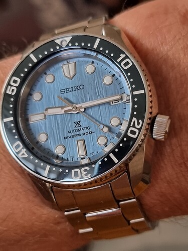 16924294852831354505310329466894
