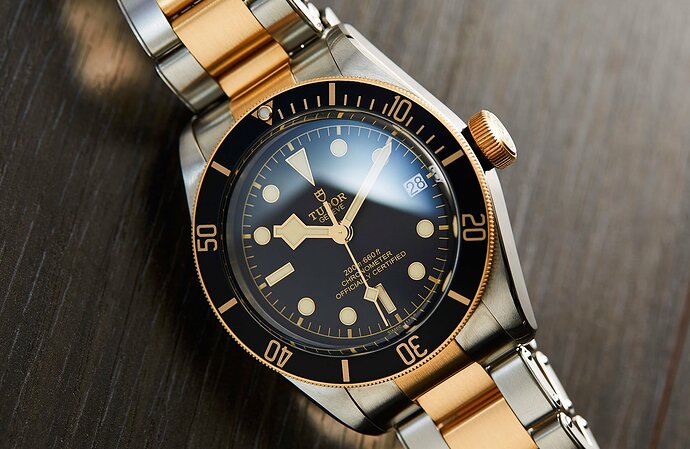 Tudor-BB-SG-9