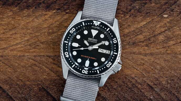 SKX013 case