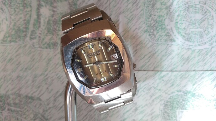 Citizen 62-8719