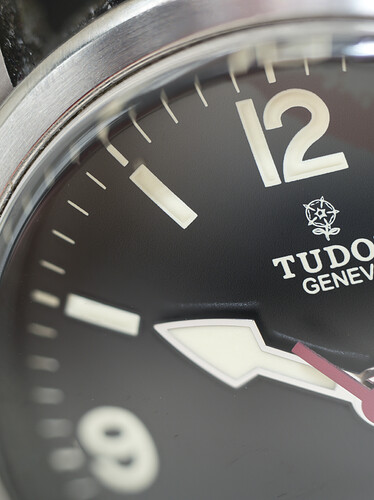 Tudor logo-1_DxO