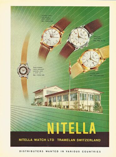 Nitella 1955