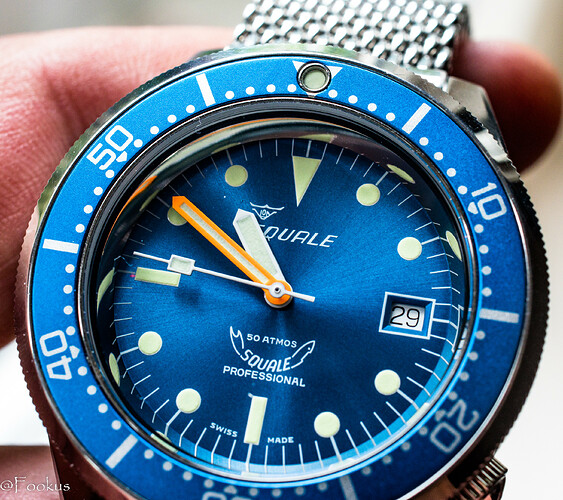 squale (11 of 12)