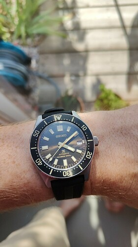 IMG-20230908-WA0001