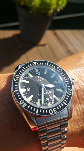 Seamaster 309