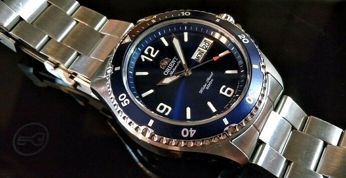 Orient Mako II - kitchen