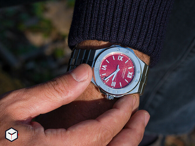 chopard-alpine-eagle-horobox-limited-edition-3