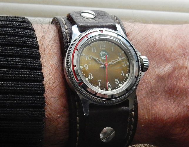 Vostok Cadet bundd