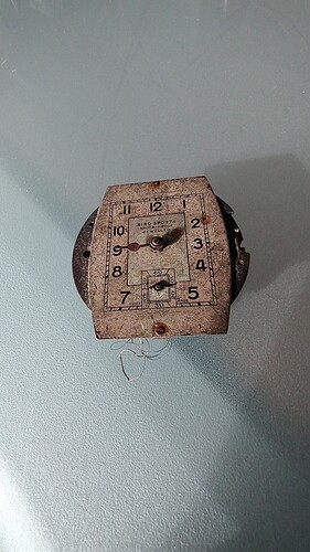 IMG_20231125_113903595