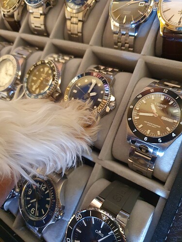 Jack zoek horloge uit