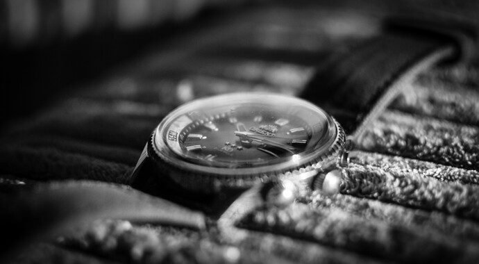 Orient King Diver-5