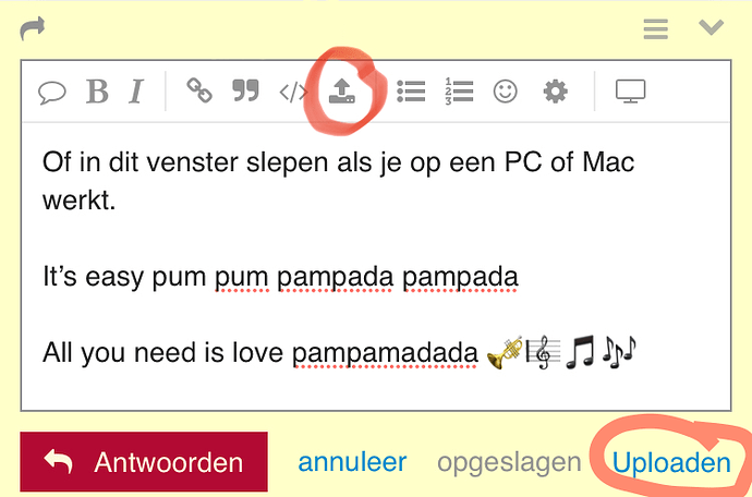 afbeelding plaatsen 2