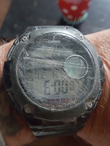 15953037781941950627180