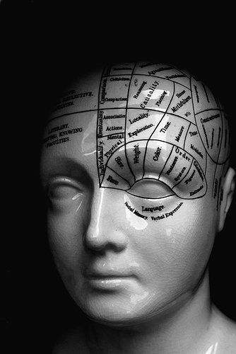 Phrenology groot