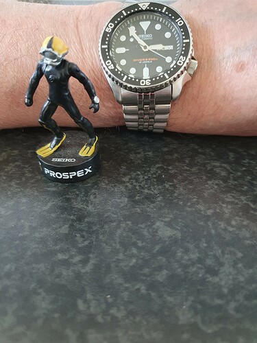 Vrijdag 30e SKX007J