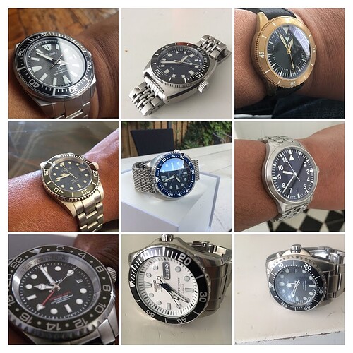 P1010949-COLLAGE