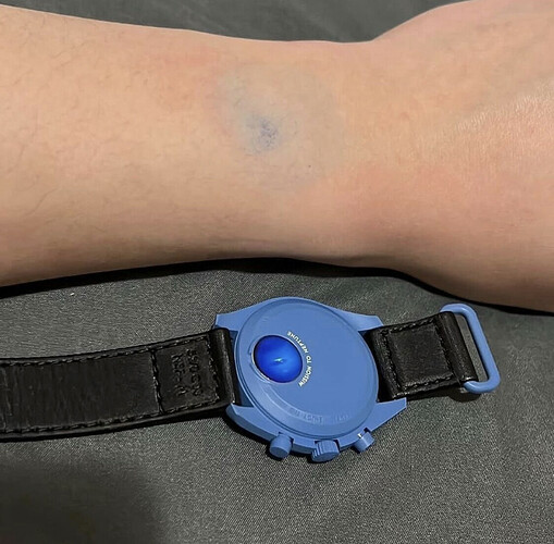 BioceramicMoonsWatch