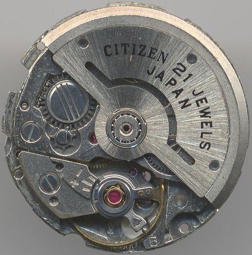 Citizen_6000