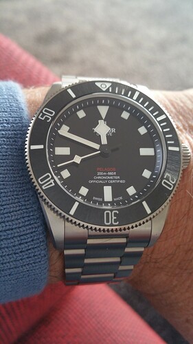 Tudor 6