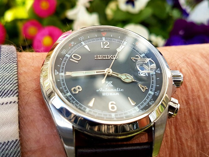 Seiko Alpinist (1) 13-04-2023