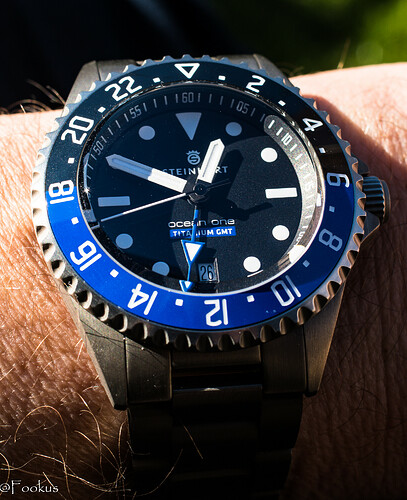 Ocean One GMT Titaniunm (8 of 8)
