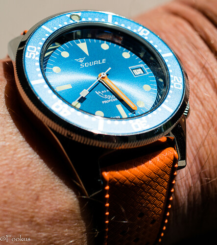 squale (1 of 1)
