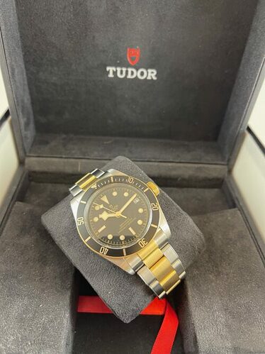 Tudor-Black-Bay-79733N-6-500x667